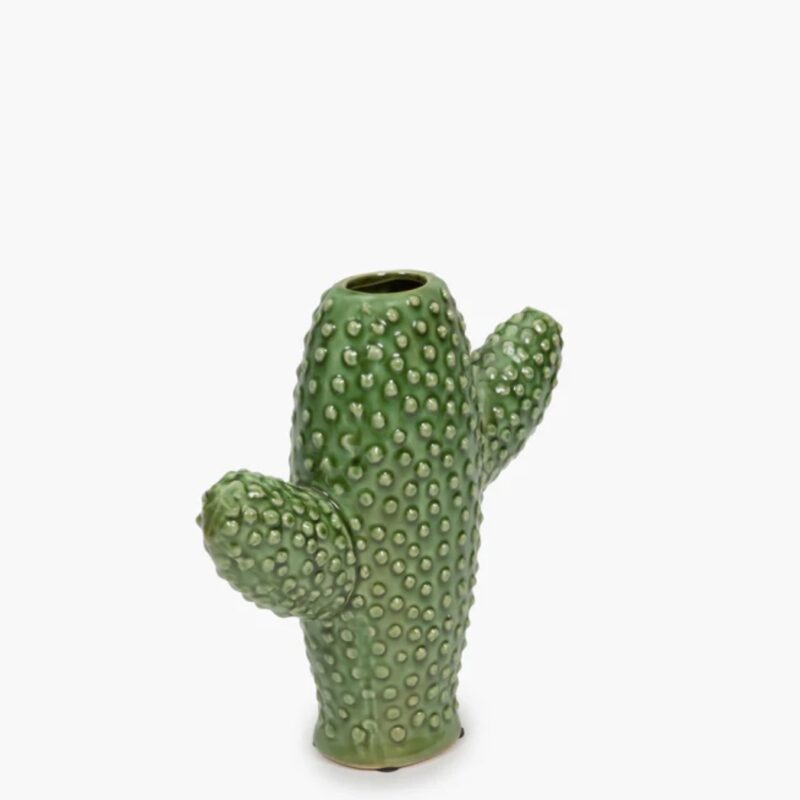 Cactus Vaas Groen Serax 20cm