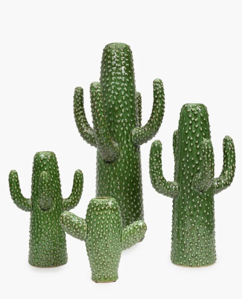 Cactus Vaas Groen Serax 20cm