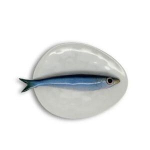 1160 Ovaal Visbord Sardine medio 16x13cm