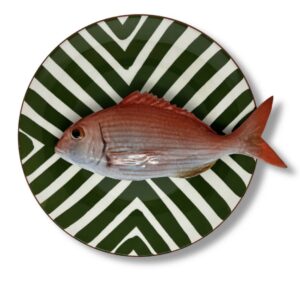 1308 Rond Visbord Pagro Groene strepen bord 27cm