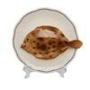 1331 Rond Visbord Schol vintage bordje bewerkte rand 16cm