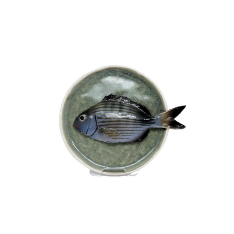 1359 Rond Visbord Sarago Piccolo Mint Groen Bordje 12cm