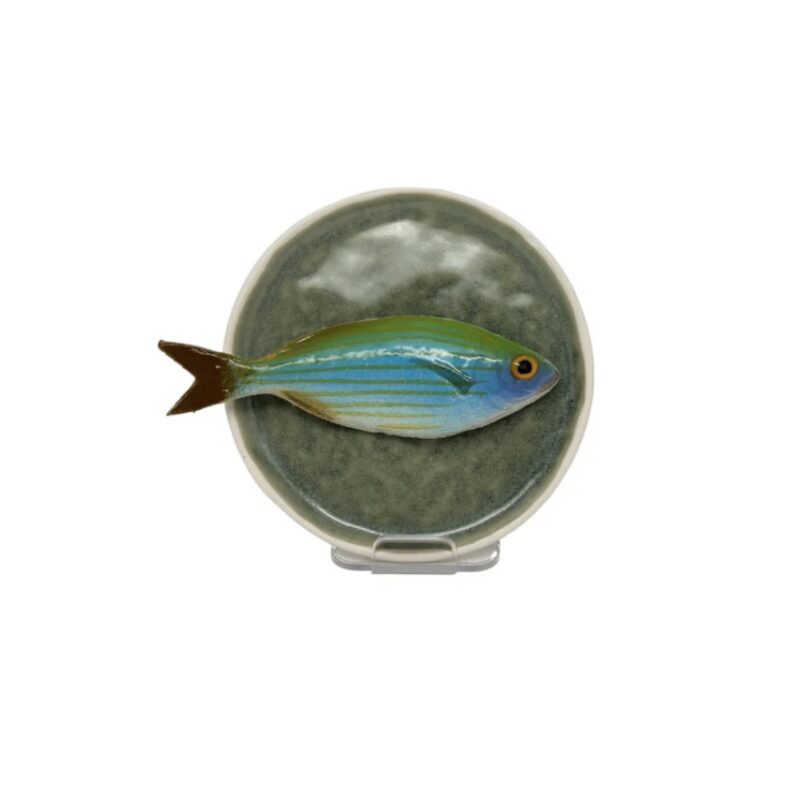 1361 Rond Visbord Salpa mint groen bordje 12cm
