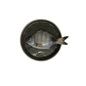 1364 Rond Visbord Sarago Piccolo Groen Bordje 12cm