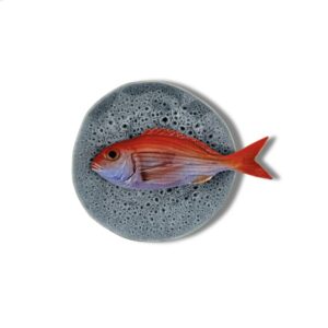 1254 Rond Visbord Pagello Blauw Grijs bewerkt Bordje 15cm