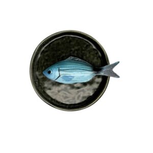 1389 Rond Visbord Occhiata Piccolo 12cm