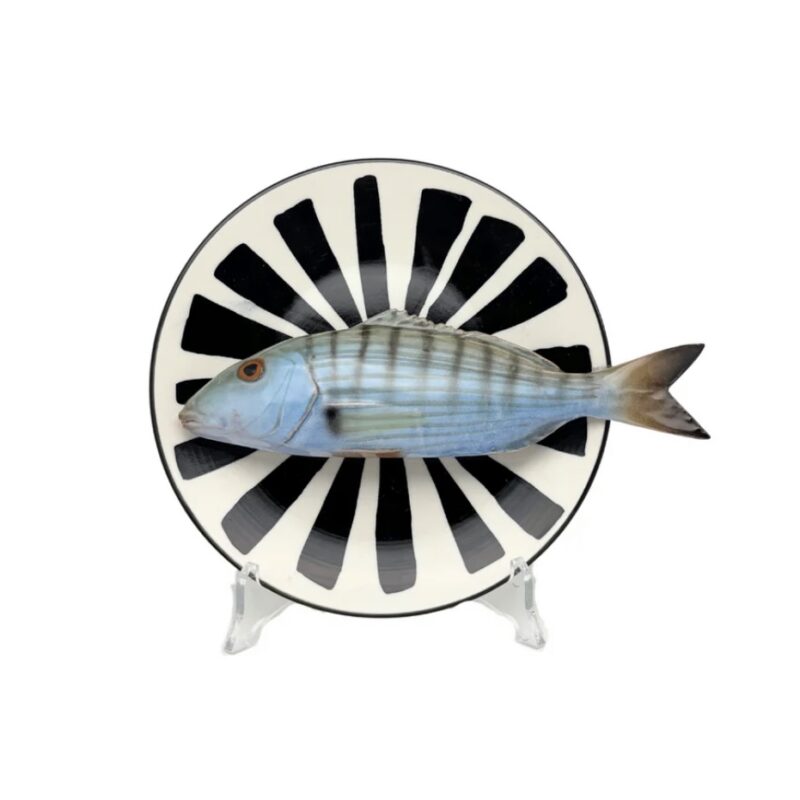 1399 Rond Visbord Marmora Zwart Wit Bord 20cm