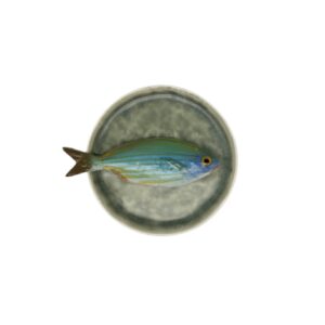 1380 Visbord Occhiata Piccolo Mintgroen 12cm