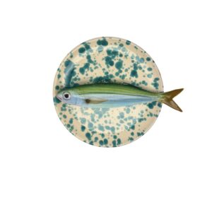 1433 Visbord Boga Creme Bord Turquoise Verfspatten 16cm