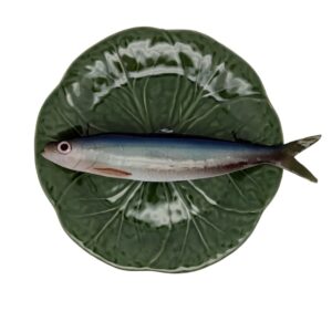 1570 Visbord Haring Bladvormig Groen Bord 27cm