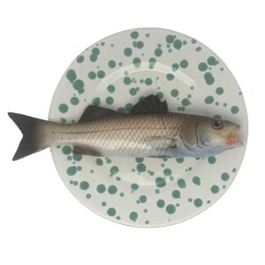 1616 Visbord Spigola Verfspatten Bord 22cm